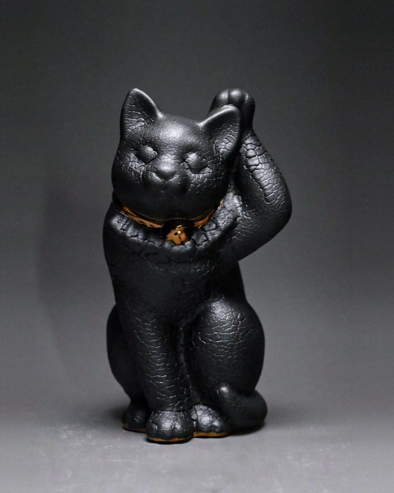 左手を上げたねこ -kawa-
