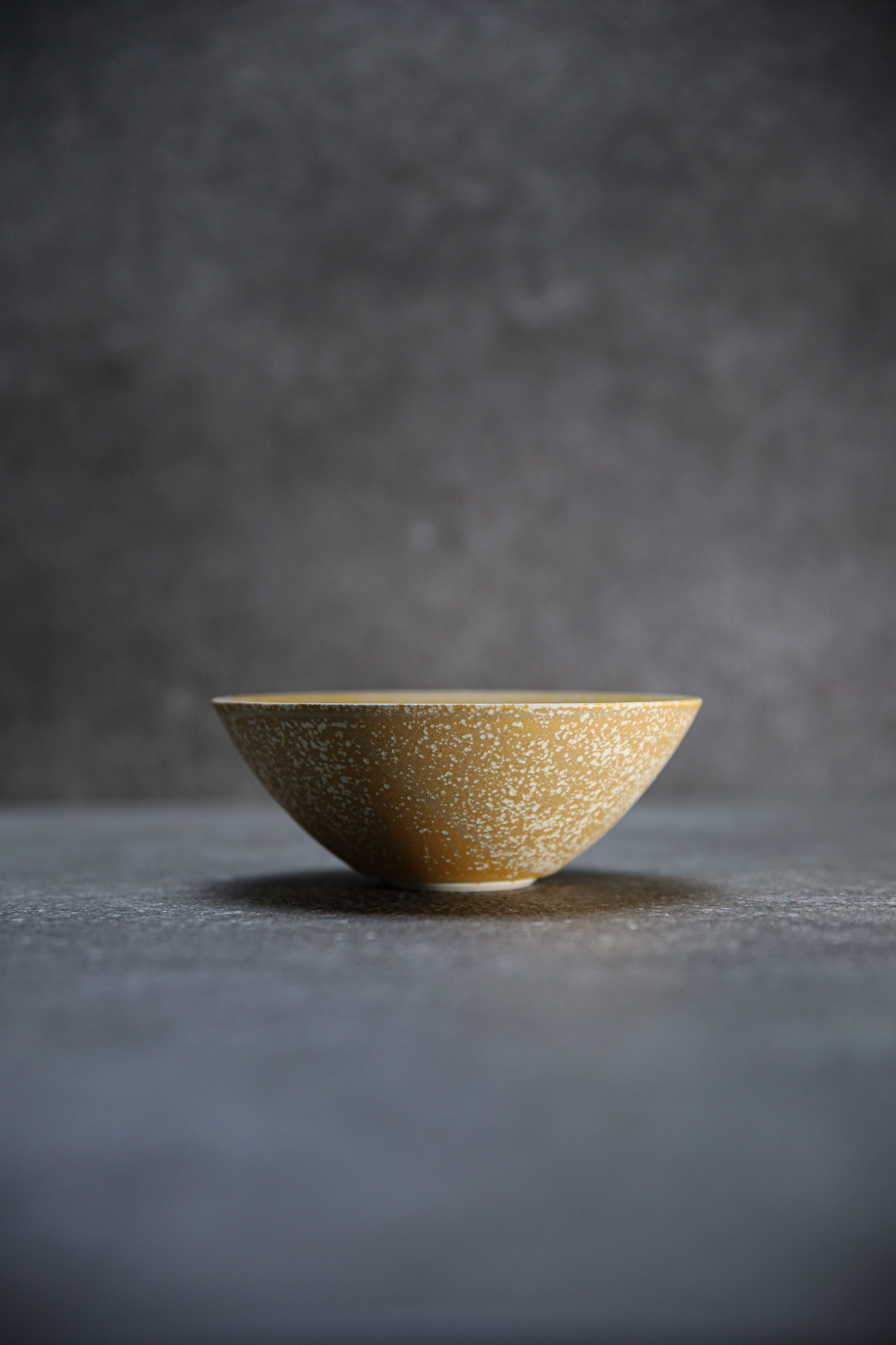 bowl -rome- M